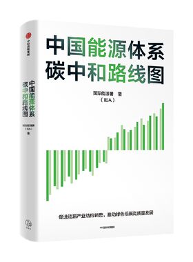 中国能源体系碳中和路线图国际能