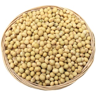 农家自留种老品种黄豆 打豆浆生豆芽做豆腐小笨黄豆1斤装非转基因