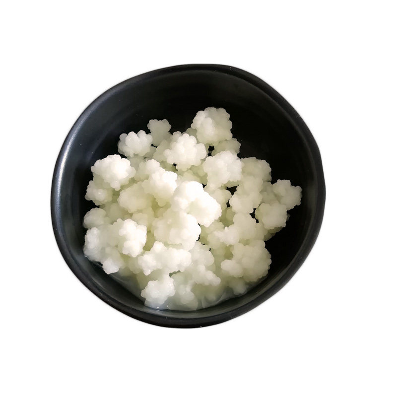 Kefir 开菲尔菌种奶克菲尔农技服务