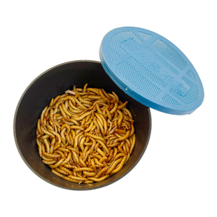 面包虫活虫黄粉虫活体守宫蜘蛛乌龟蜥蜴八哥画眉鸟食盒装爬宠饲料