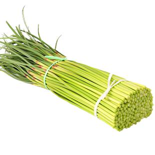 2026年新鲜蒜薹新鲜现发5斤蒜苔蒜毫农家自种特产批发蔬菜3斤