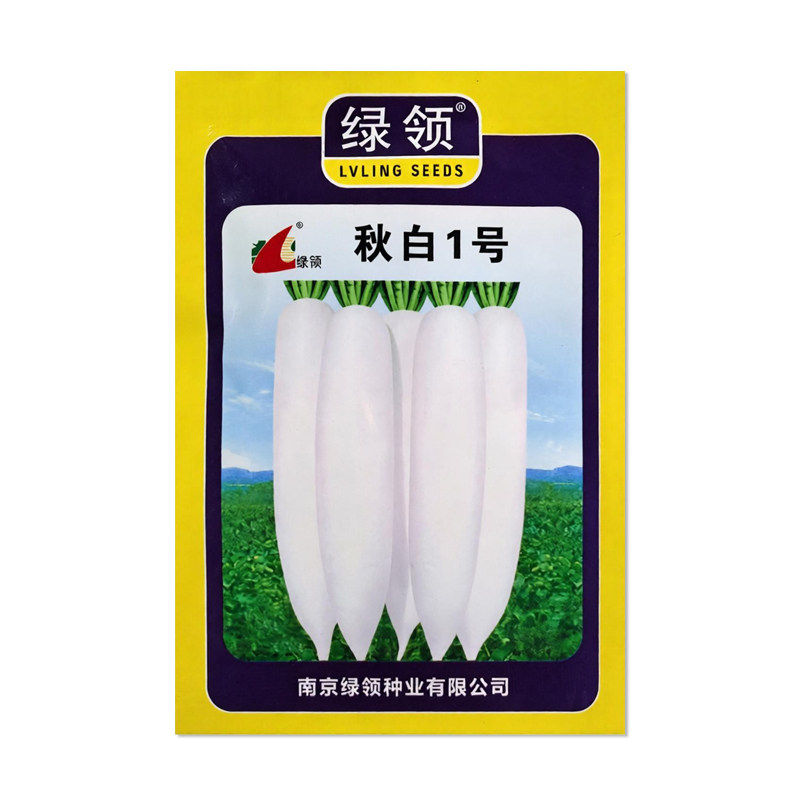 绿领秋白1号萝卜种子蔬菜种子