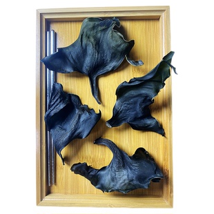 霞浦海带头特厚优质淡干海带头厚肉软糯海带根海带头新货独立包装