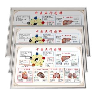 中医馆养生挂图五行相生相克图解表五脏六腑装饰挂画宣传贴纸海报