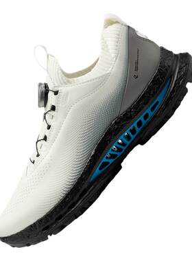 ECCO爱步高尔夫球鞋男 BOA系带防滑支撑缓震GLOF BIOM C5 132624