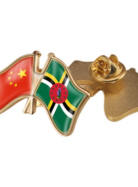 中国和多米尼加双旗帜交叉旗帜友谊旗帜徽章胸章高档配饰