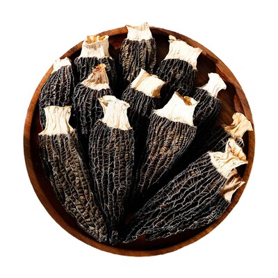 【月销10万+】云南高山羊肚菌