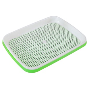 无土水培猫草盆栽化毛球懒人种植猫草种子育苗盘化毛草猫咪零食