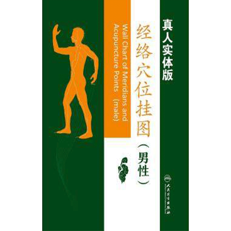 经络穴位挂图(男性版) 真人实体 人民卫生出版社9787117240215
