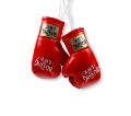 Red, 1 Pair, Glove Length Approximately 9cm