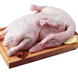 老鸭子整只鸭货生鲜食材老鸭肉新鲜冷冻食品白条土鸭番鸭麻鸭