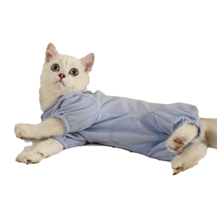 猫咪衣服冬装防掉毛睡衣护肚子防着凉宠物小猫四脚全包德绒绝育服