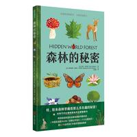 森林的秘密妙趣自然翻翻書