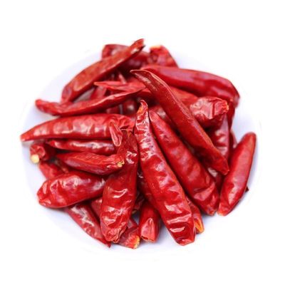 秘制蘸碟四川火锅串串用蘸料50g