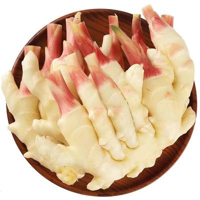 云南新鲜嫩仔姜子脆嫩红芽嫩姜嫩生姜糖醋泡姜农家自种新鲜发货