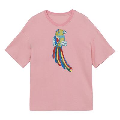 谜底宽松H型T恤短袖女年夏季新品百搭圆领绣花上衣242MT0550