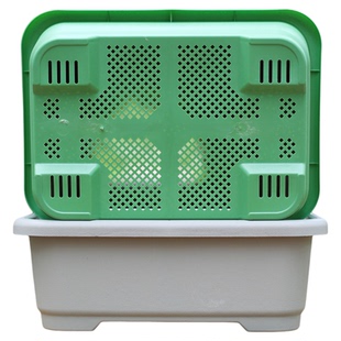 新款特大阳台种菜盆自吸水家用种菜专用盆长方形塑料蔬菜种植花盆