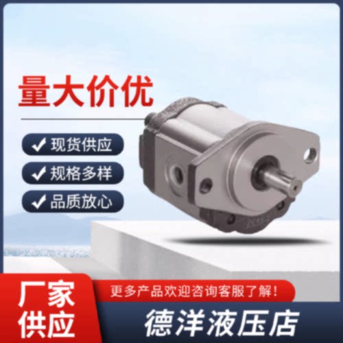 询意大利RONZIO罗茨液压齿轮泵01Z01ZM081116212632374248
