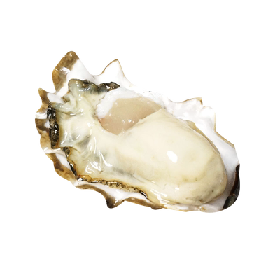 当天现剥生蚝肉新鲜去壳牡蛎肉