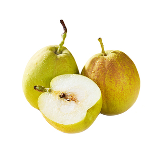 东方甄选库尔勒香梨新疆鲜果梨子新鲜水果当季整箱生鲜年货顺丰