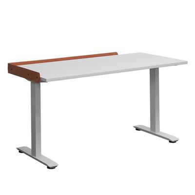 双电机十年质保电动升降桌