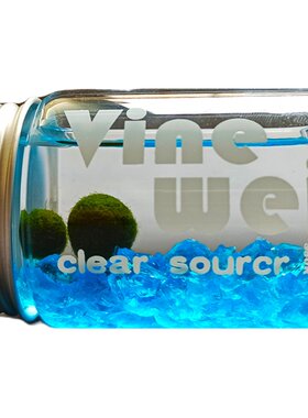 蔓薇清源海藻球能量瓶创意水培
