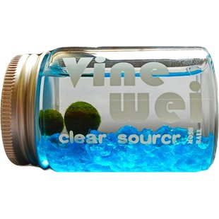 海藻球能量瓶微景观室内水培植物玻璃瓶创意迷你盆栽球藻水生绿植