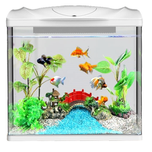森森桌面族水箱生态造景玻璃小鱼缸1