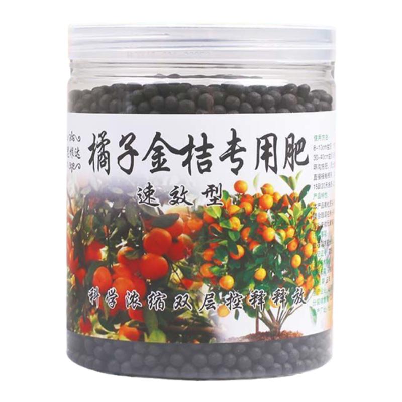 有机桔子盆栽地栽土壤果树肥料