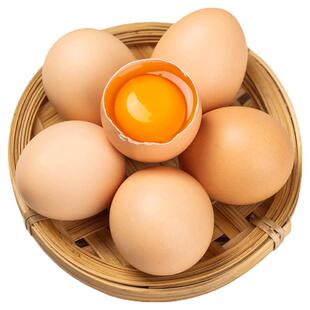 正宗农家散养土鸡蛋10枚*±40g整箱包邮正宗新鲜草鸡蛋谷物DT