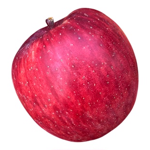 阿坝州四姑娘山小金红苹果高原红富士糖心丑苹果脆甜新鲜应季水果