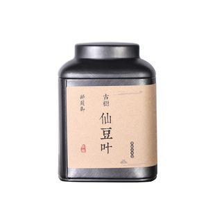 母树【仙豆叶】《优质资源保护品种》250年古树 凤凰乌岽单丛茶