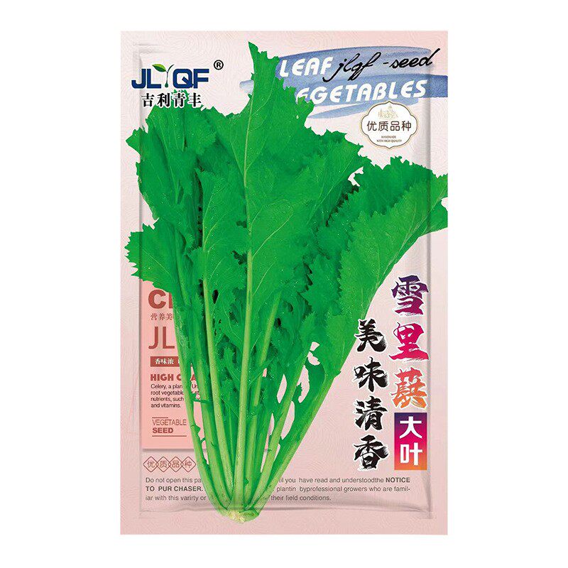 大叶雪里蕻种子蔬菜种子