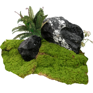 上海美空仿真苔藓假青苔人造仿生草皮植物橱窗布置微景观绿植草坪