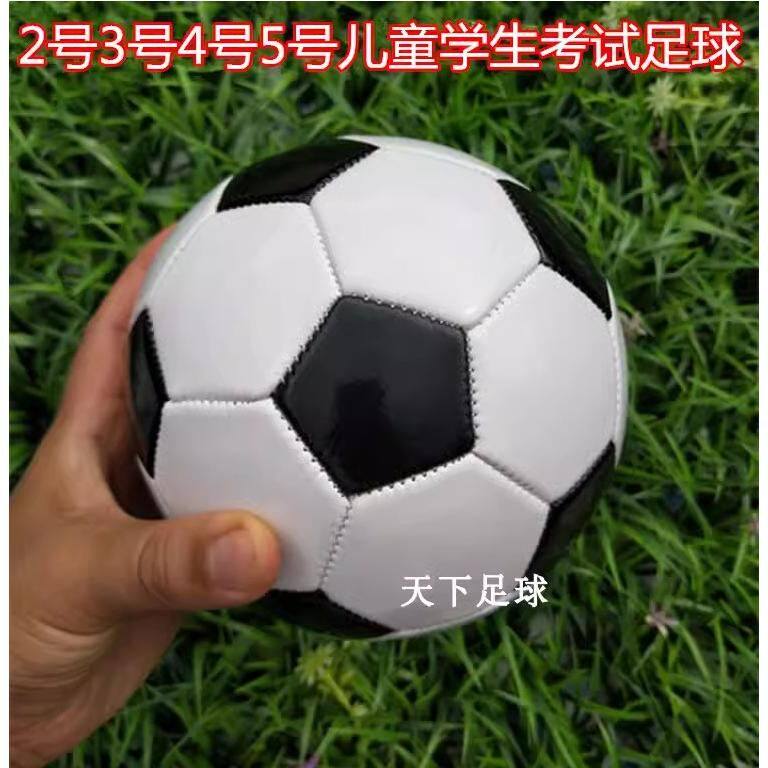 儿童足球 2号3号4号5号足球 迷你小足球训练幼儿园宝宝足球拍皮球