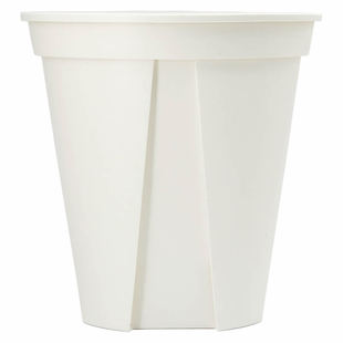 日本原产白色青山盆月季花烛白龟背竹室内观叶植物花盆控根透气