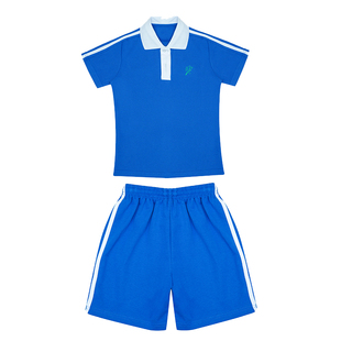 活力校服高级中学小学部校服刺绣校徽男女生运动服短袖速干薄浅色