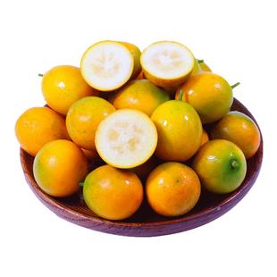 正宗脆皮金桔5斤正宗三代脆皮金桔金柑纯甜无籽新鲜现摘现发包邮