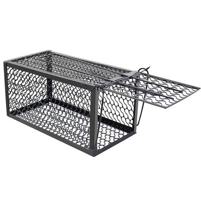 标兵捕鼠笼灵敏触发效果显著