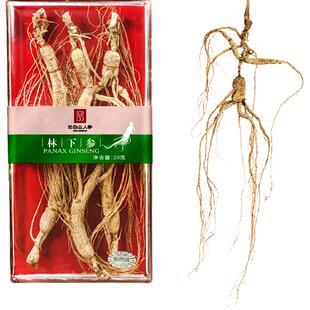 长白山人参林下参干参煲汤打粉炖粥泡酒年货春节送礼