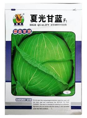 夏光10g耐热甘蓝莲花白卷种子籽