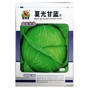夏光10g耐热甘蓝莲花白卷心包菜椰洋圆芥蓝白菜高丽包心大头菜脆