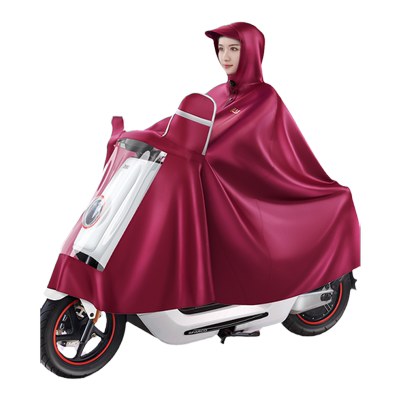 天堂加厚成人电动车摩托车