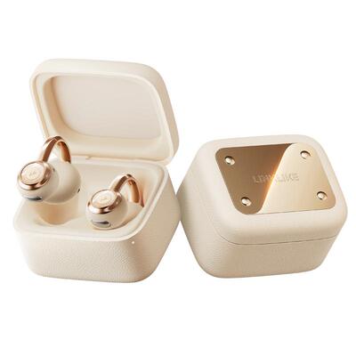 【久戴不痛】高音质镀金耳机