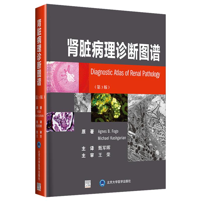 正版肾脏病理诊断图谱医学书籍