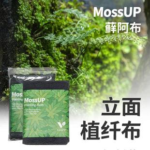 「空城里」Vasee藓阿布微景观垂直立面苔藓植物种植布植藓棉