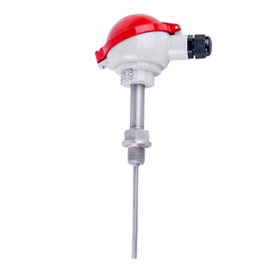 铠装热电偶K型铂热电阻PT100温度传感器温度变送器wrn130/wzp-230