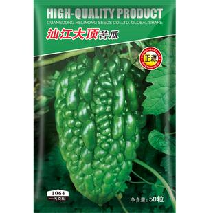 和利农 正源汕江大顶苦瓜种子绿疙瘩刺瘤苦瓜种籽盆栽蔬菜种孑
