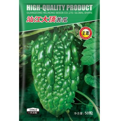蔬菜疙瘩盆栽苦瓜种子
