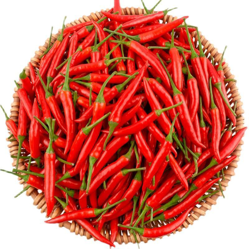小米辣椒新鲜现摘特辣红辣椒蔬菜